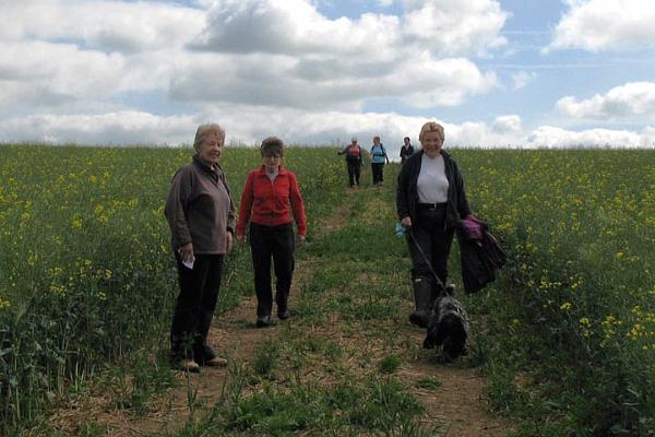 1. Jill, Mary, Dorothy & Morse leading accross the rape field.jpg